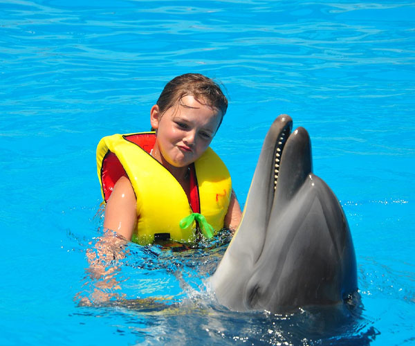 Dolphin Swimming From Manavgat(Side)