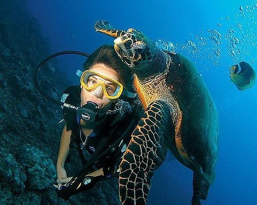 Scuba Diving From Manavgat (Side)